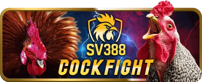 Chính sách cookie của t888 nổ hũ